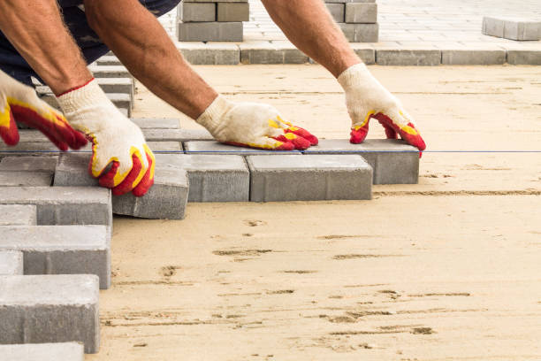 Best Driveway Paving Company  in Staples, MN